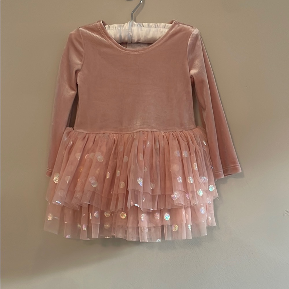 Girls' Pink Velvet Dress with Tulle Skirt